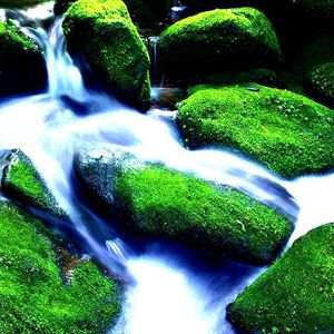 星莱克尔1997护士日记的推荐理由
