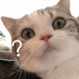 星莱克尔1997护士日记的推荐理由
