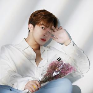 星莱克尔1997护士日记的推荐理由
