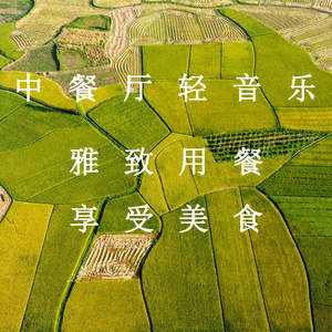 星莱克尔1997护士日记的推荐理由
